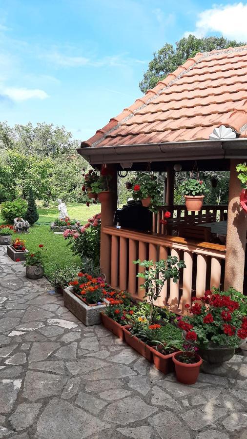 Apartmani "Dukic" Pelinovo Exteriér fotografie