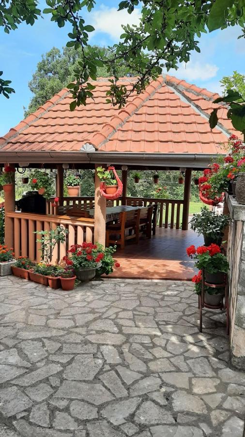 Apartmani "Dukic" Pelinovo Exteriér fotografie