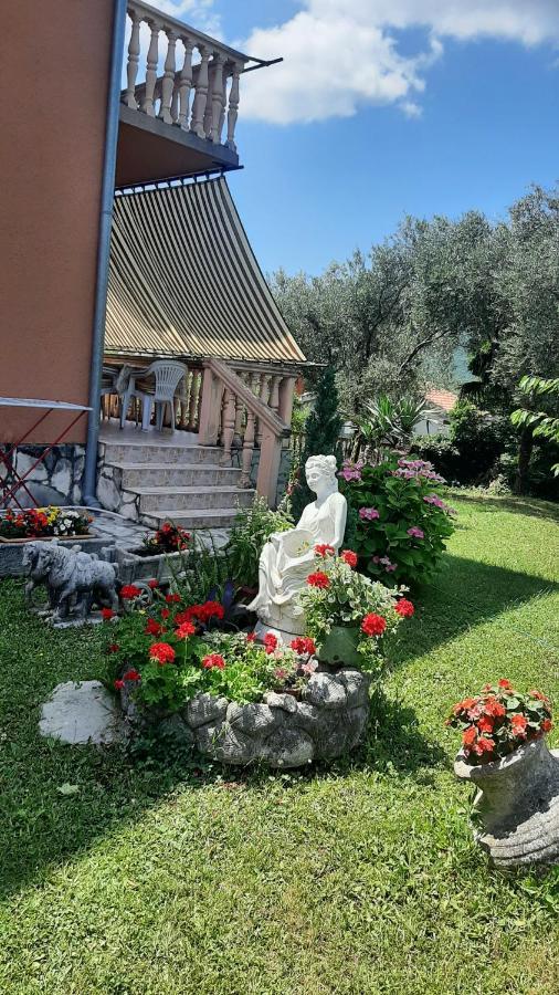 Apartmani "Dukic" Pelinovo Exteriér fotografie
