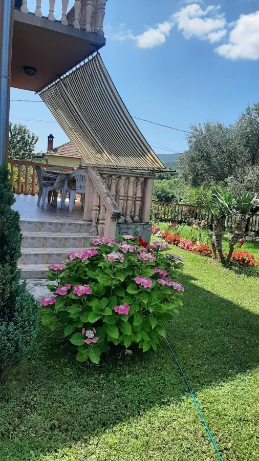 Apartmani "Dukic" Pelinovo Exteriér fotografie