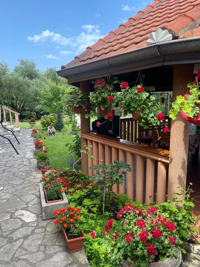 Apartmani "Dukic" Pelinovo Exteriér fotografie