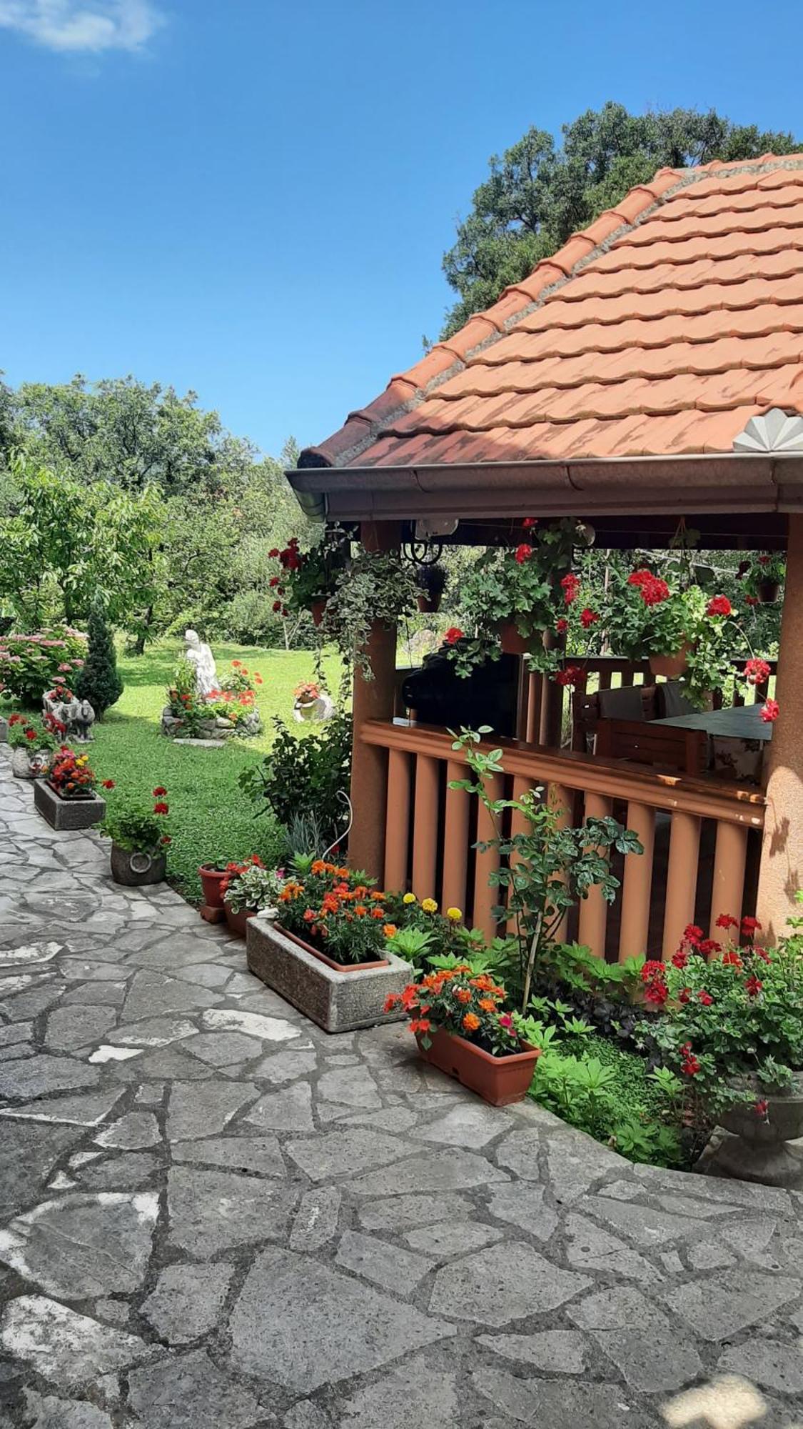Apartmani "Dukic" Pelinovo Pokoj fotografie