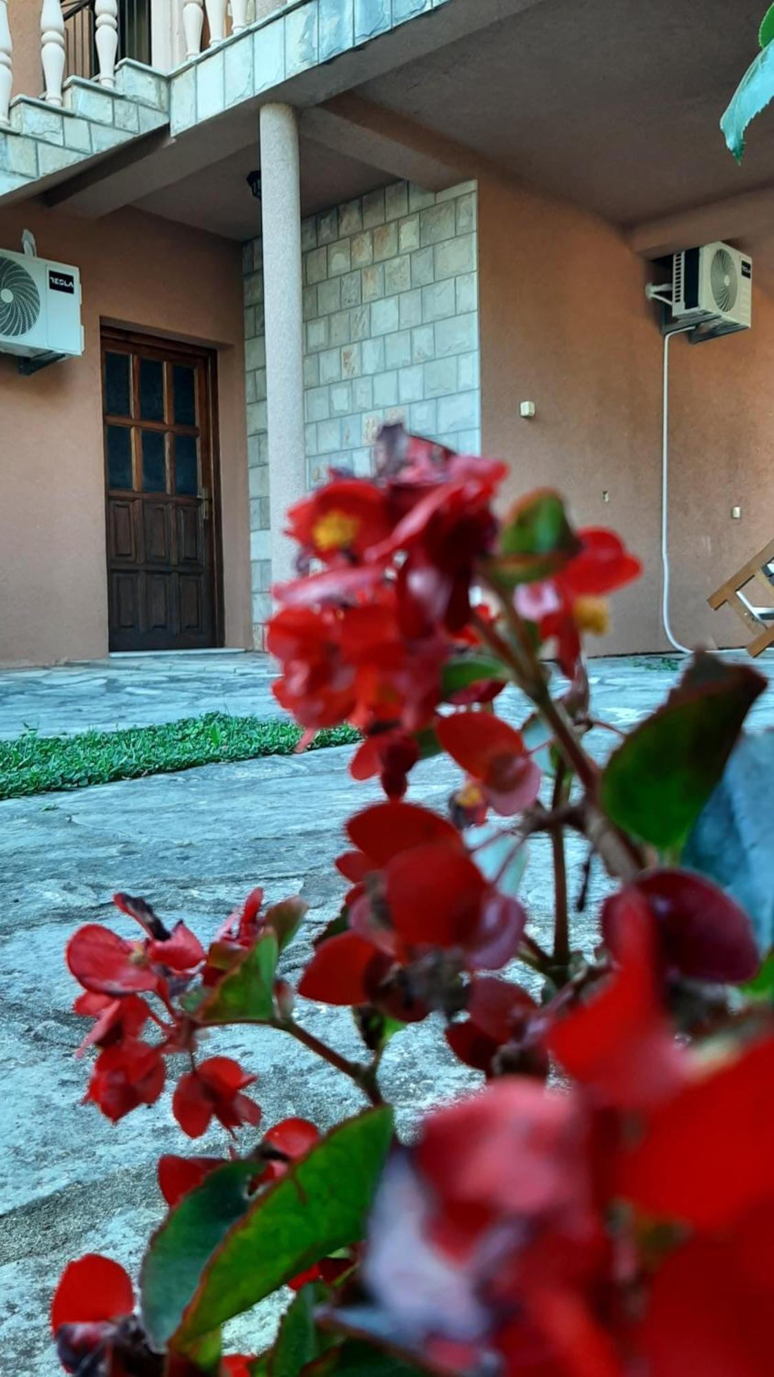 Apartmani "Dukic" Pelinovo Pokoj fotografie