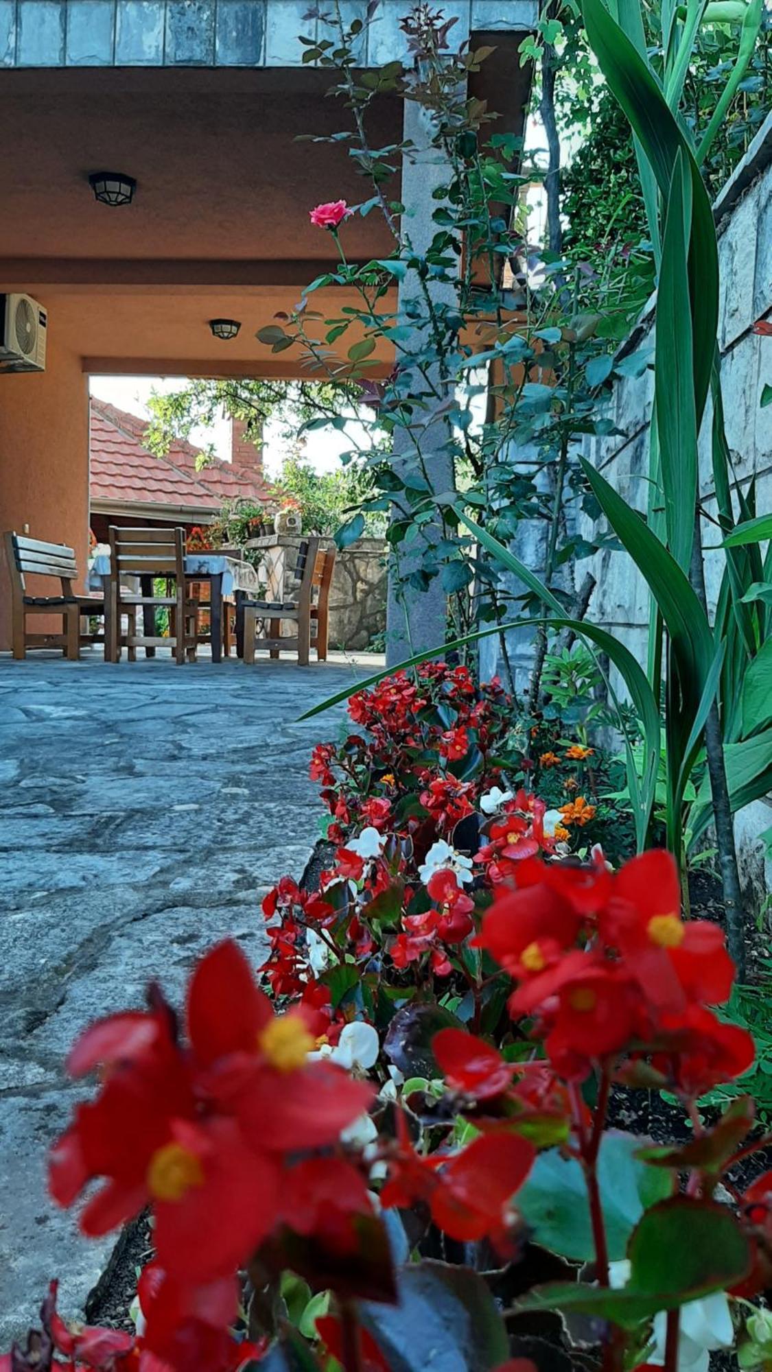 Apartmani "Dukic" Pelinovo Pokoj fotografie