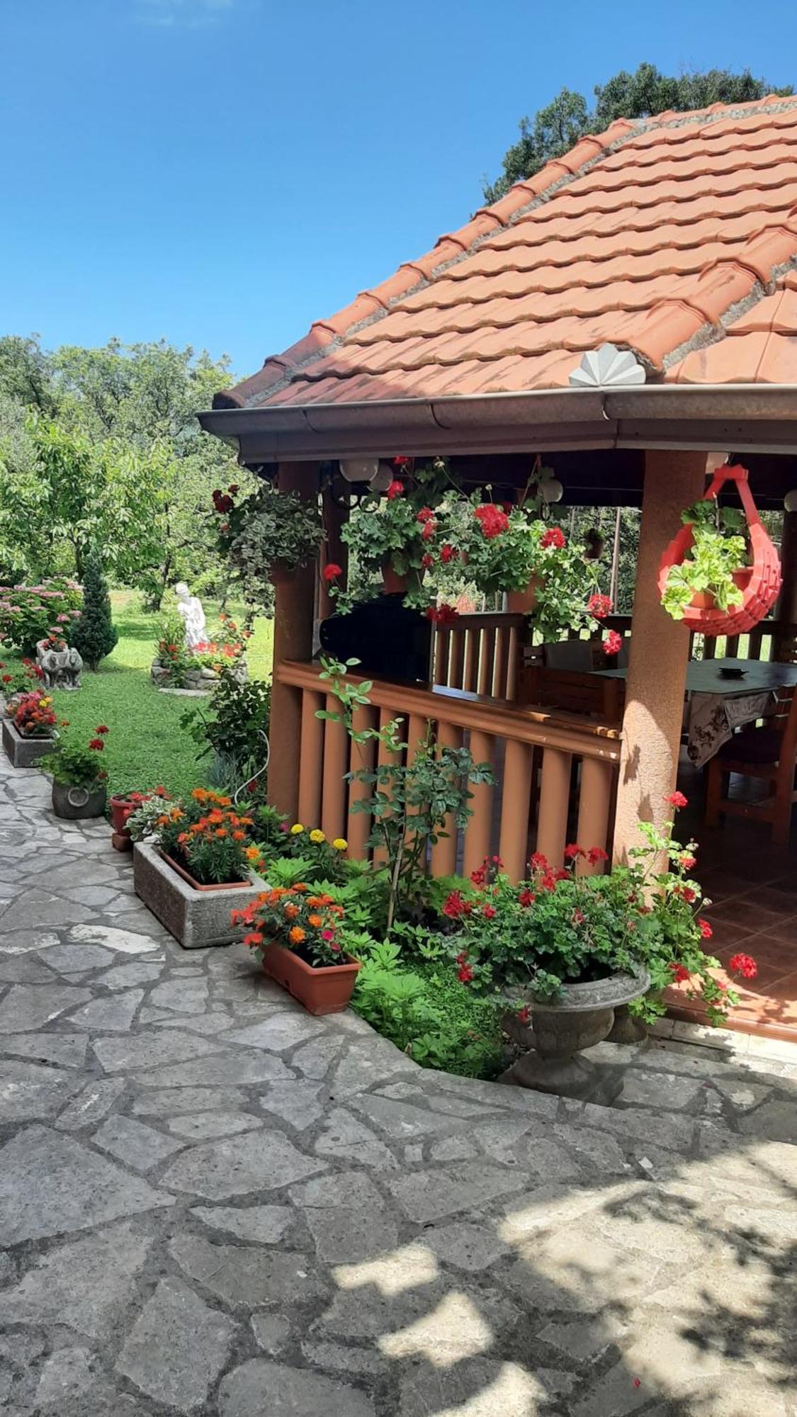 Apartmani "Dukic" Pelinovo Pokoj fotografie
