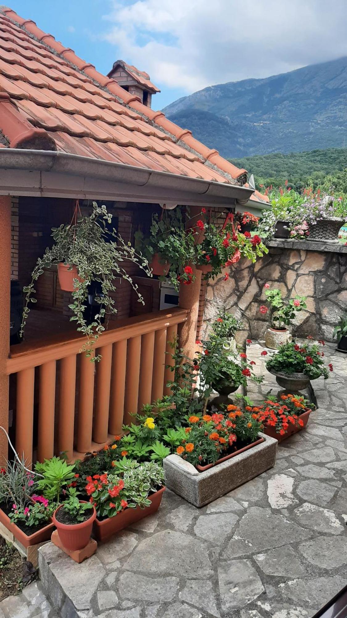 Apartmani "Dukic" Pelinovo Pokoj fotografie