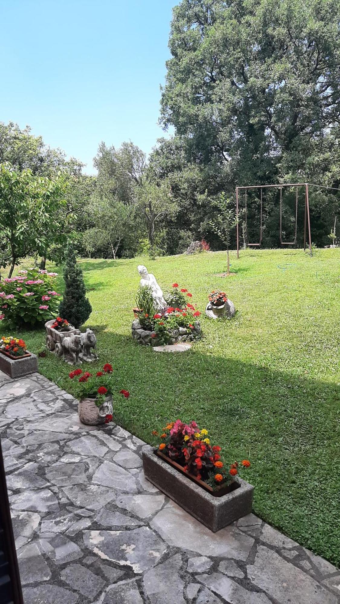 Apartmani "Dukic" Pelinovo Pokoj fotografie