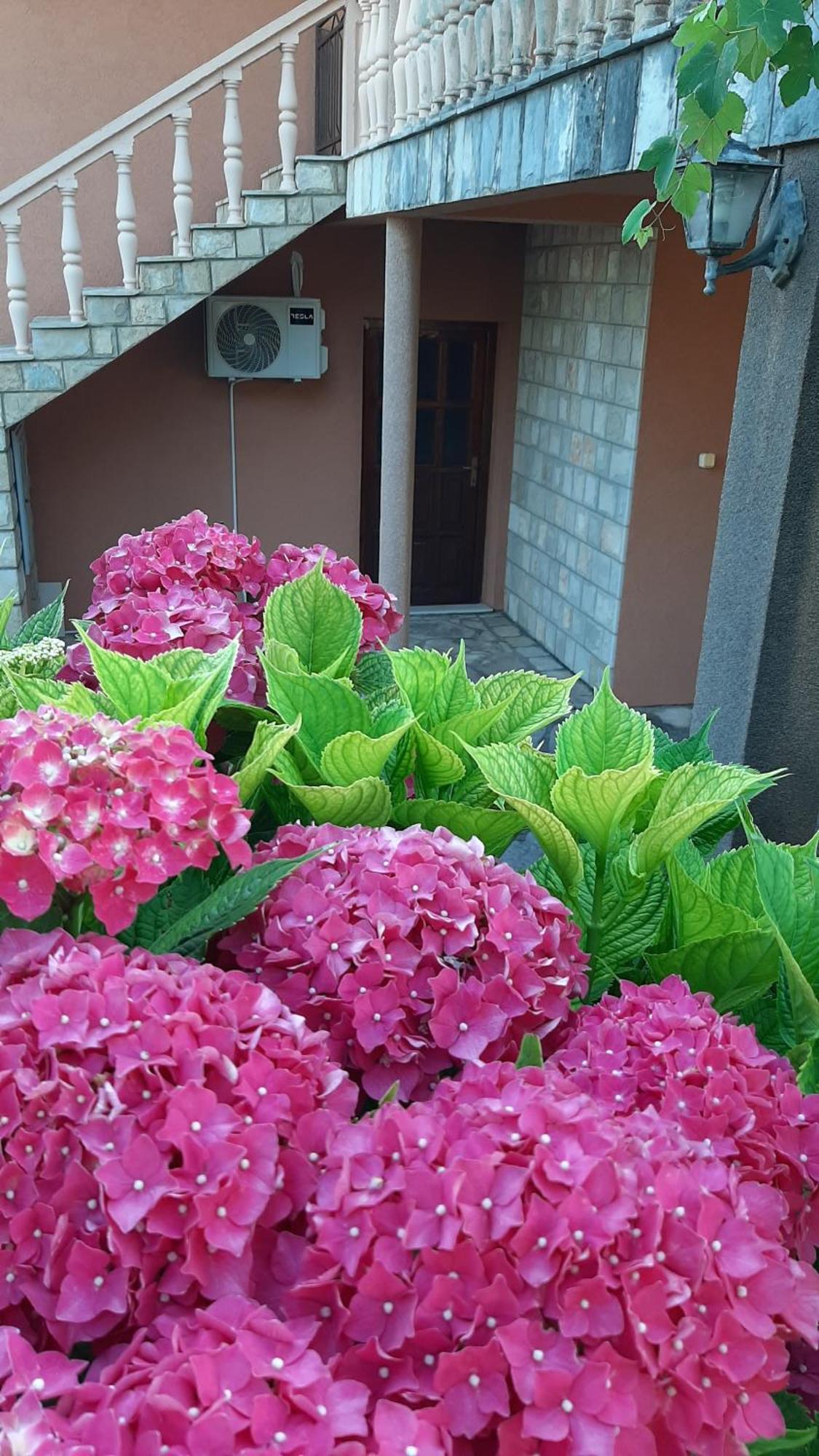 Apartmani "Dukic" Pelinovo Pokoj fotografie