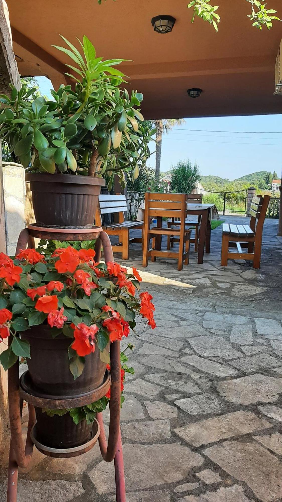 Apartmani "Dukic" Pelinovo Pokoj fotografie
